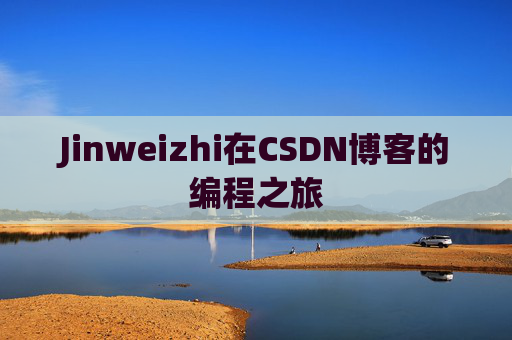 Jinweizhi在CSDN博客的编程之旅